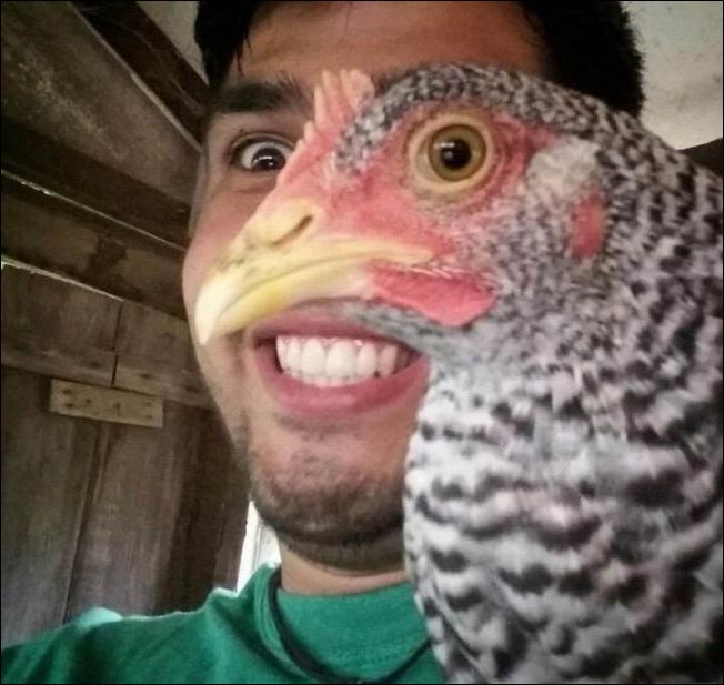 Показалось