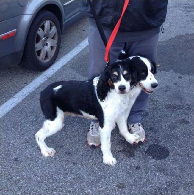 Показалось