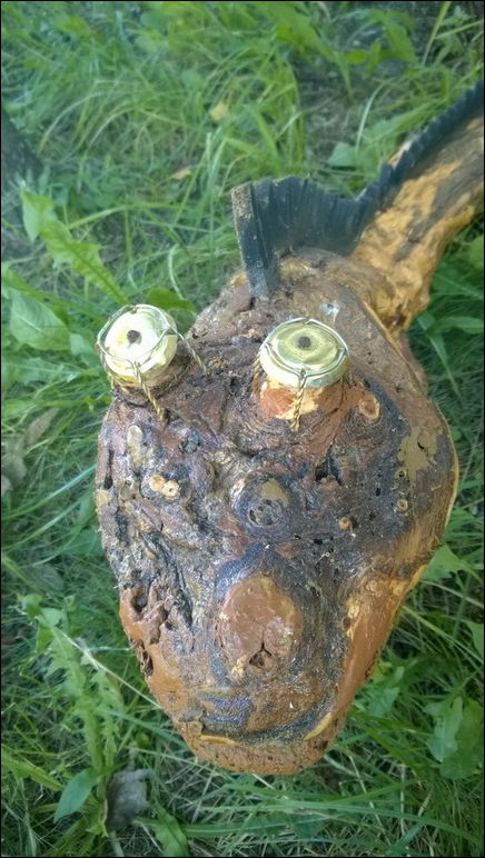 Ужасы наших дворов