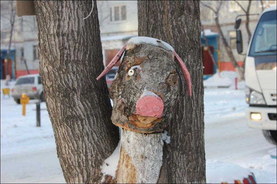 Ужасы наших дворов