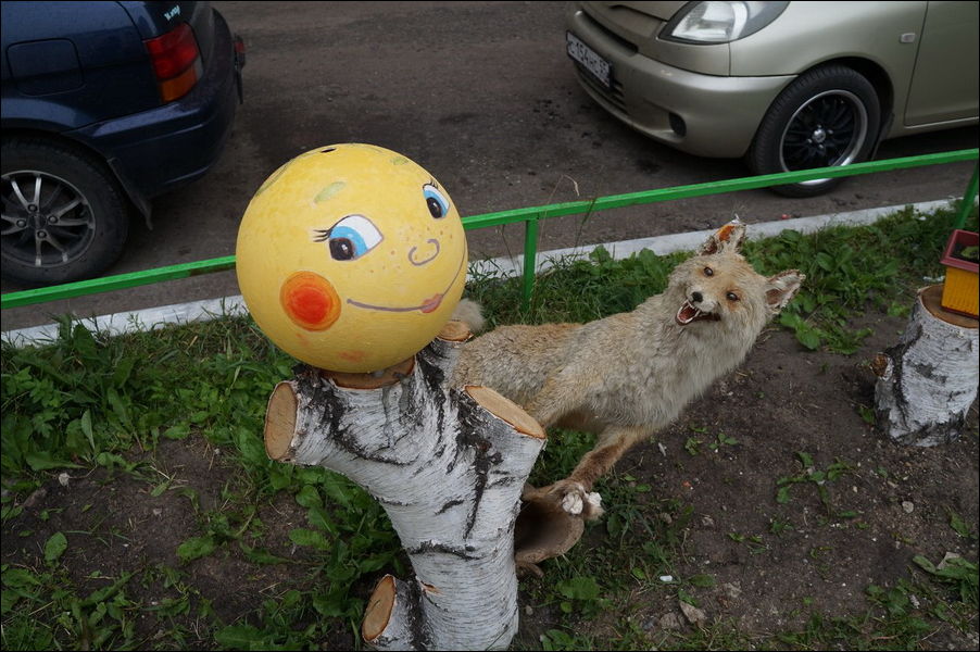 Ужасы наших дворов