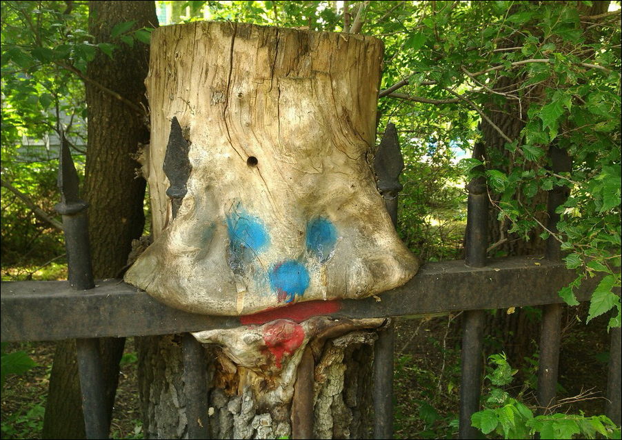 Ужасы наших дворов