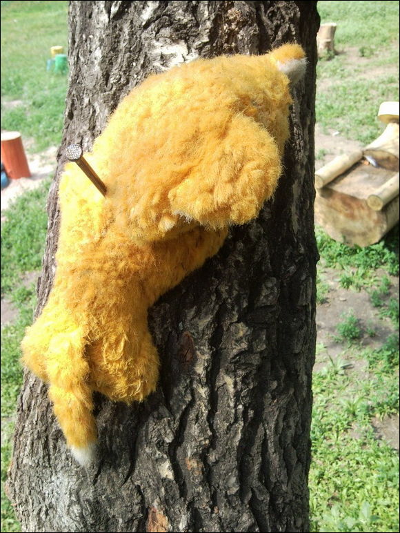 Ужасы наших дворов