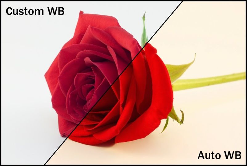 как делают фото профессионалы