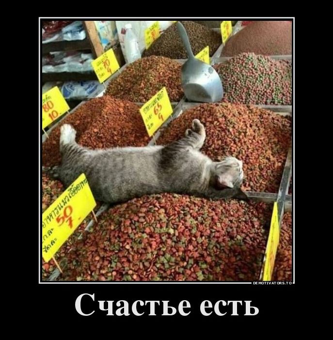 демотиватор