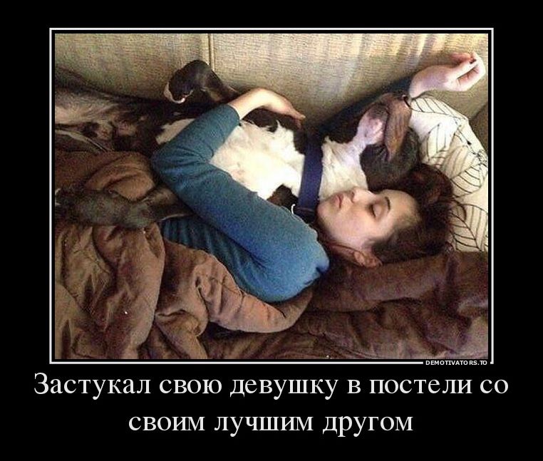 демотиватор