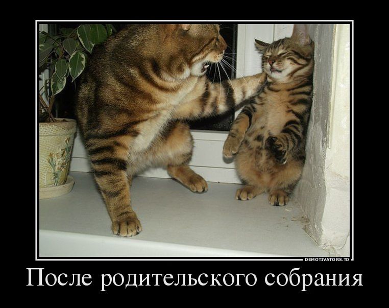 демотиватор