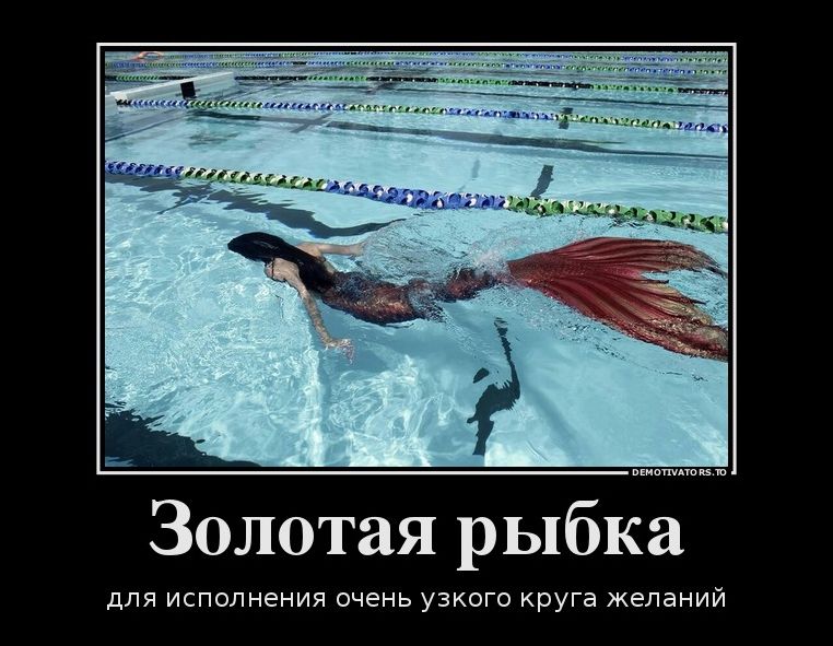 демотиватор