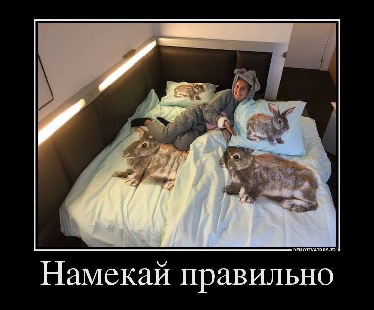 демотиватор