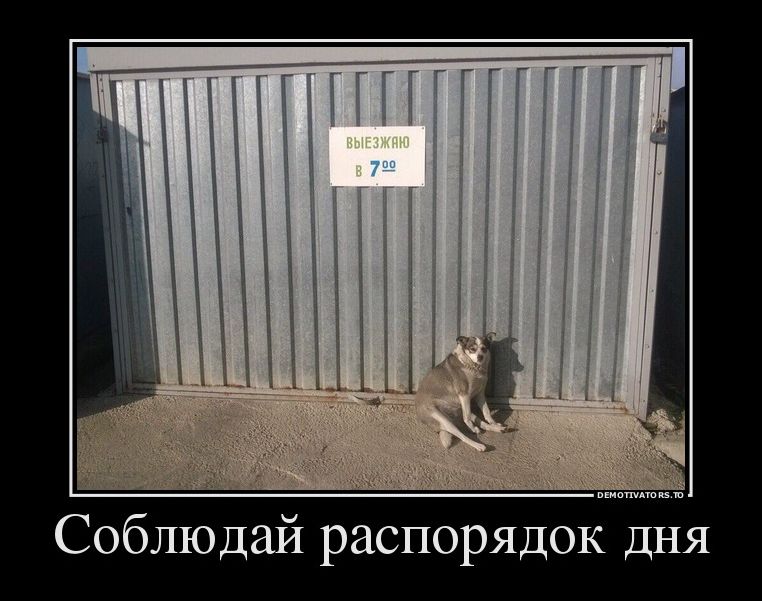 демотиватор