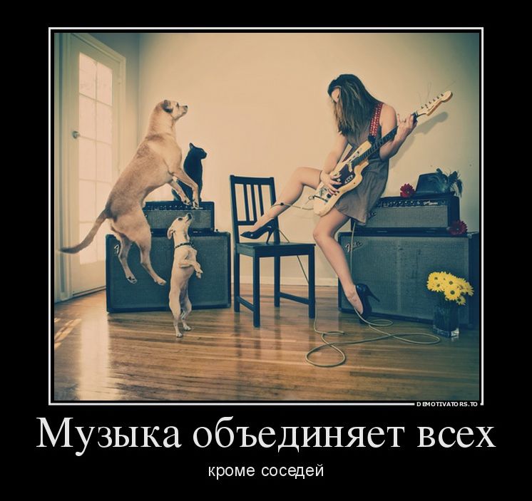 демотиваторы