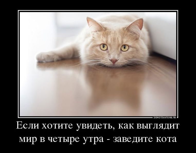 демотиваторы