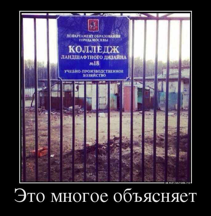 демотиваторы