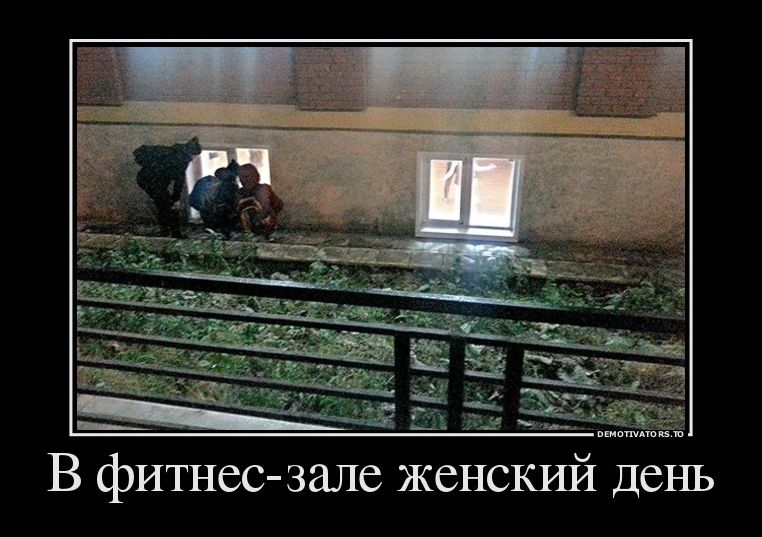 демотиваторы