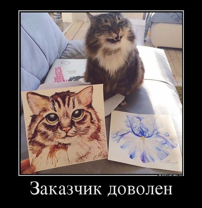 демотиватор