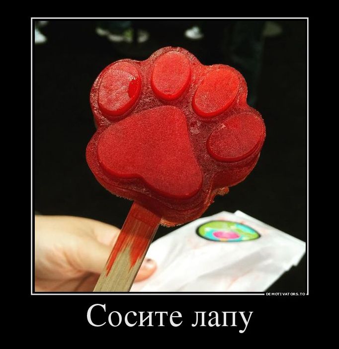 демотиватор