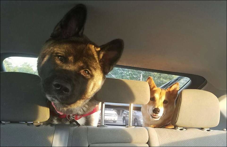 фотоприколы