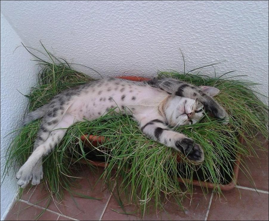 фотоприколы