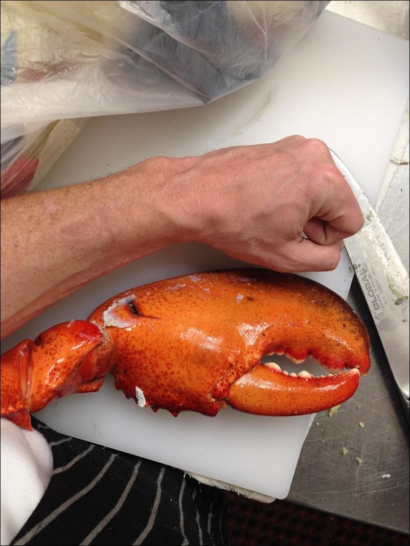 фотоприколы