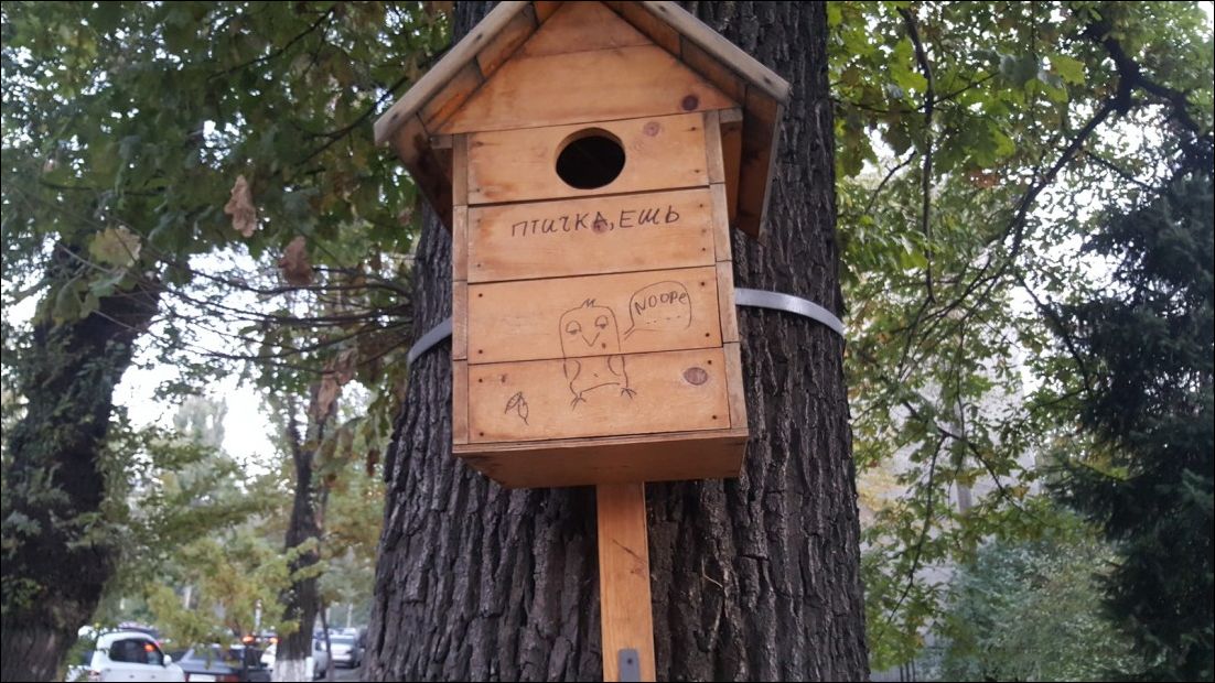 фотоприколы