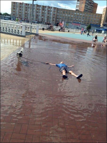 фотоприколы