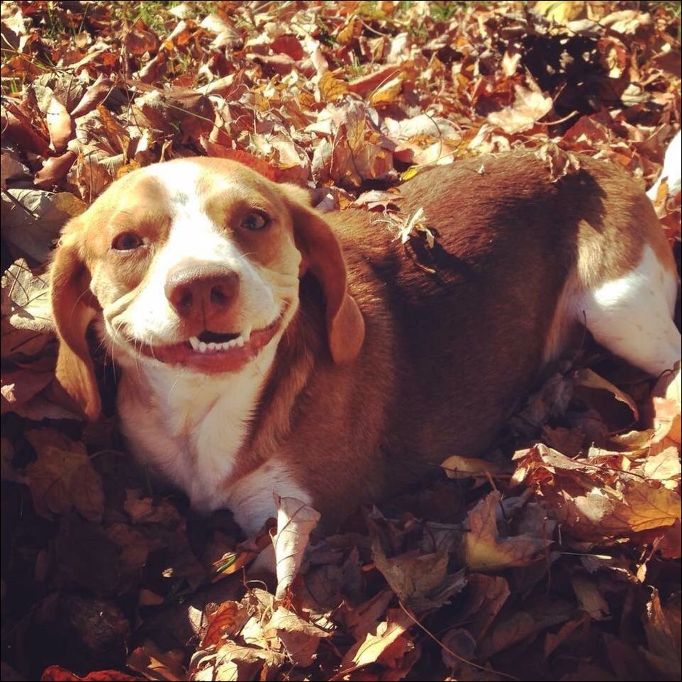 фотоприколы