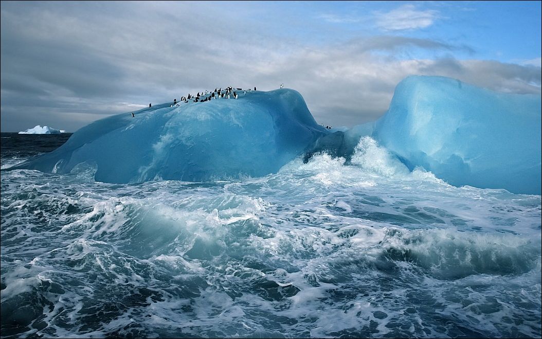 фотоприколы