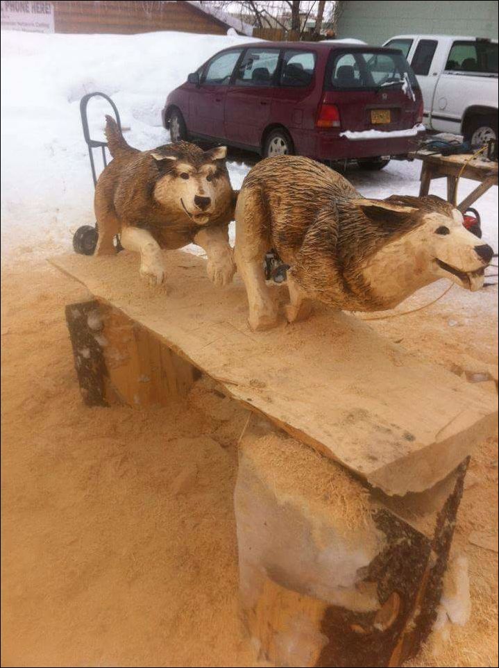 фотоприколы