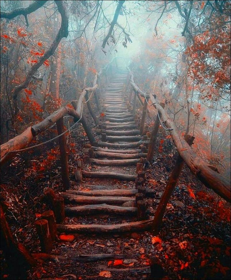 фотоприколы