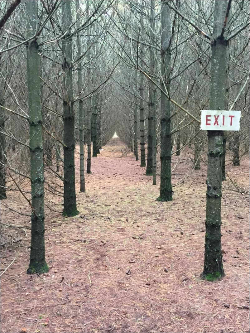 фотоприколы