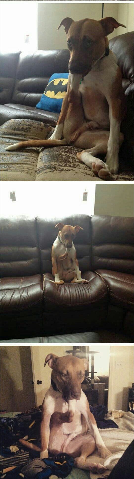 фотоприколы