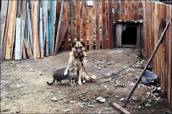 фотоприколы