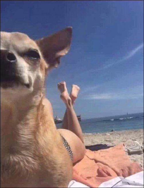 фотоприколы