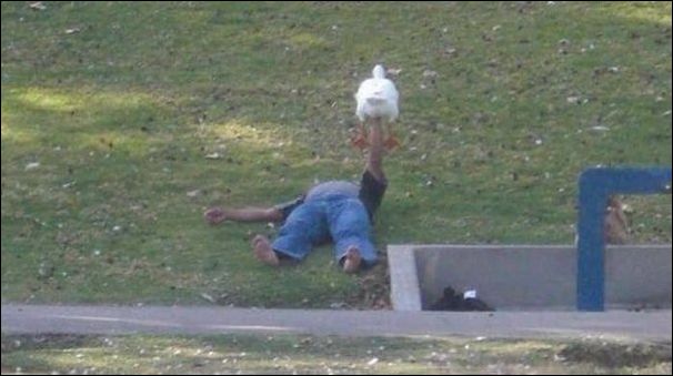 фотоприколы