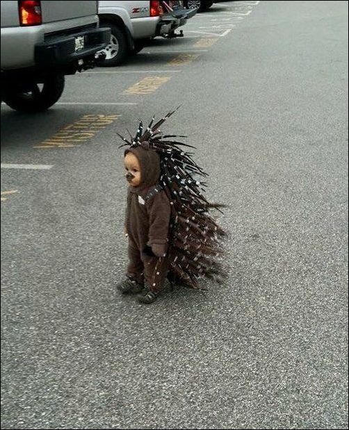 фотоприколы