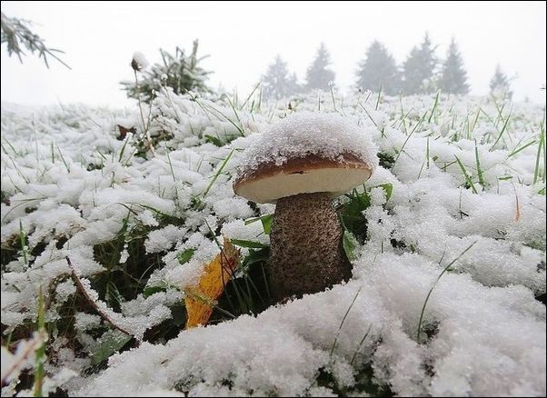 фотоприколы