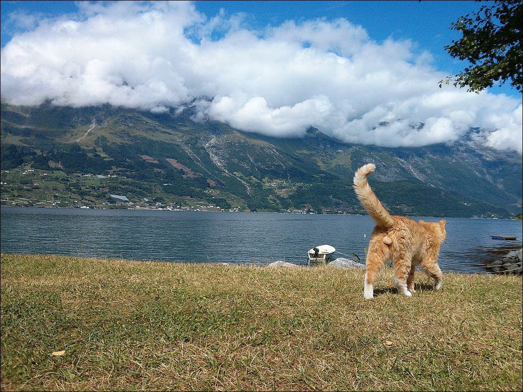 фотоприколы