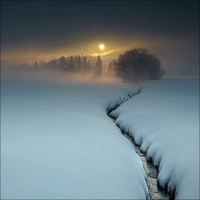 фотоприколы