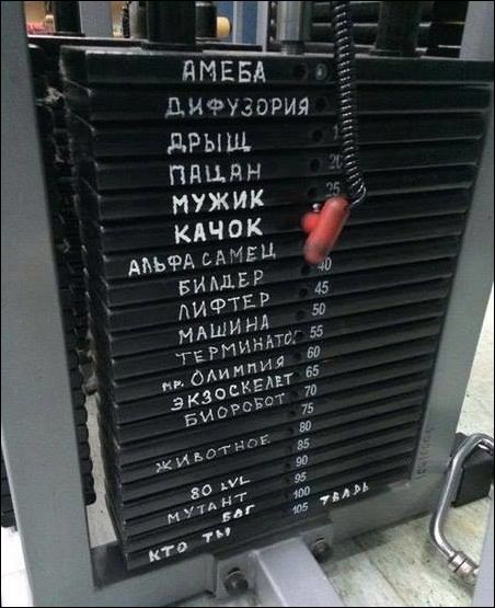 фотоприколы