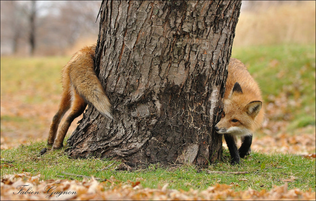 фотоприколы