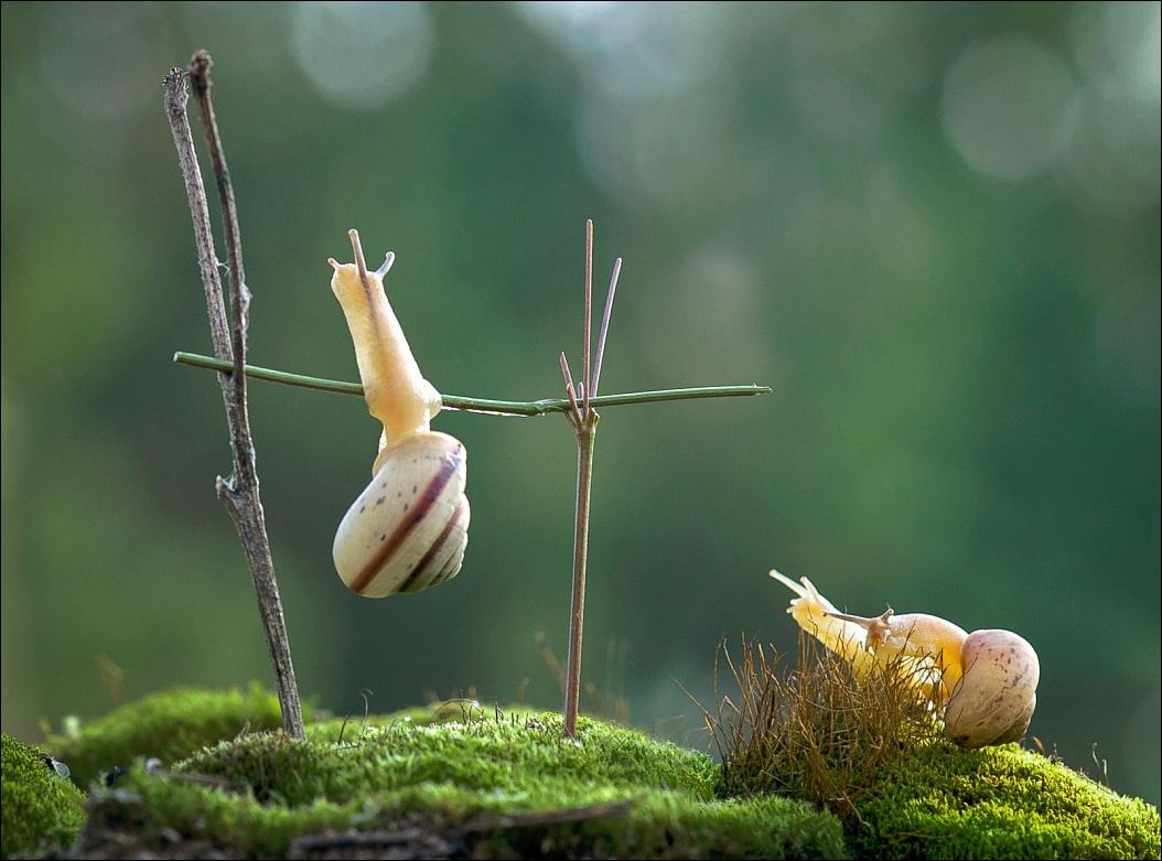 фотоприколы