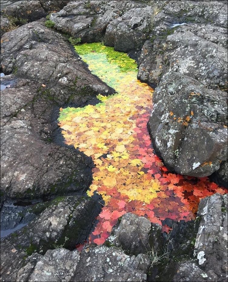 фотоприколы