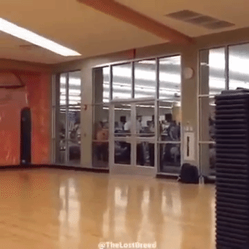 Прикольные гифки