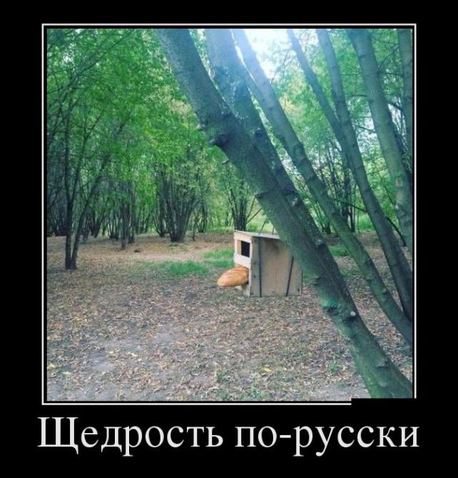 демотиватор