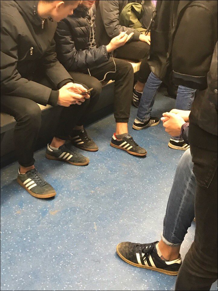 фото приколы