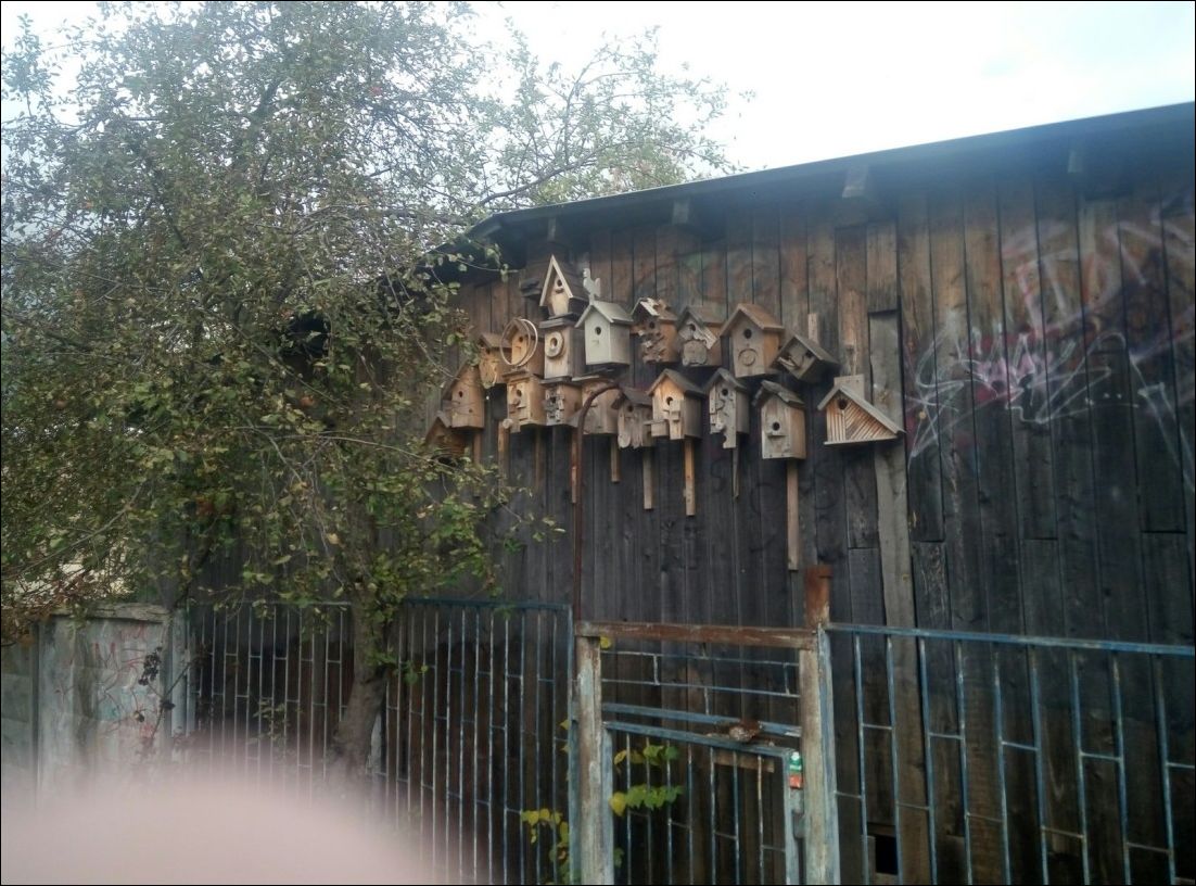 фото приколы