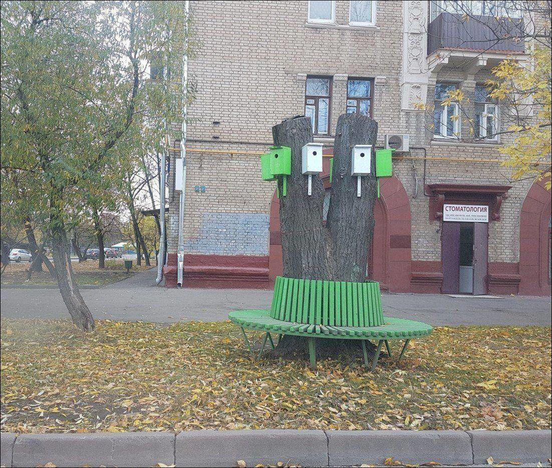 фото приколы