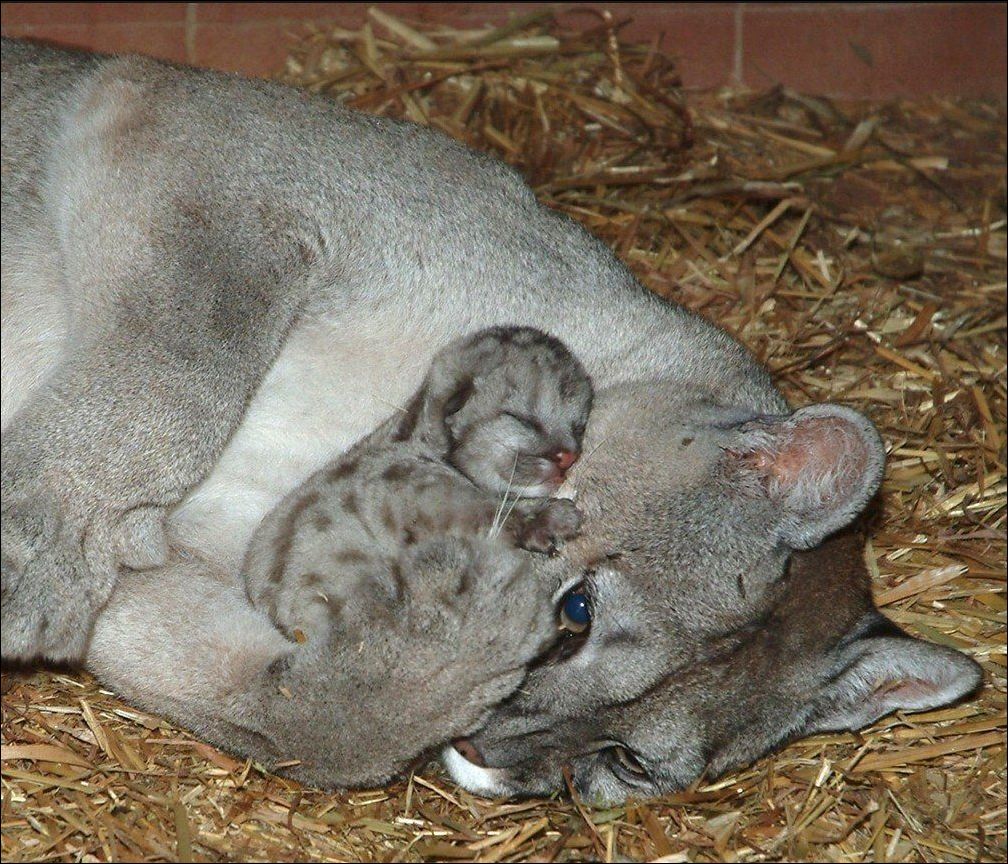 фото приколы