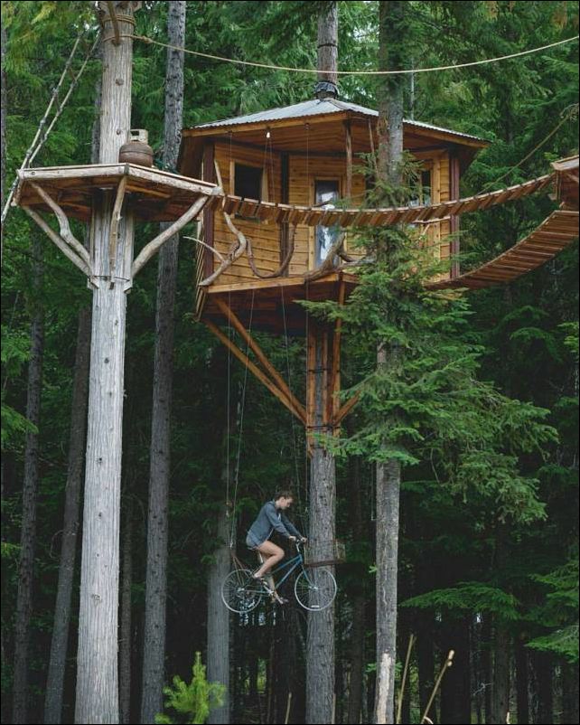 фото приколы