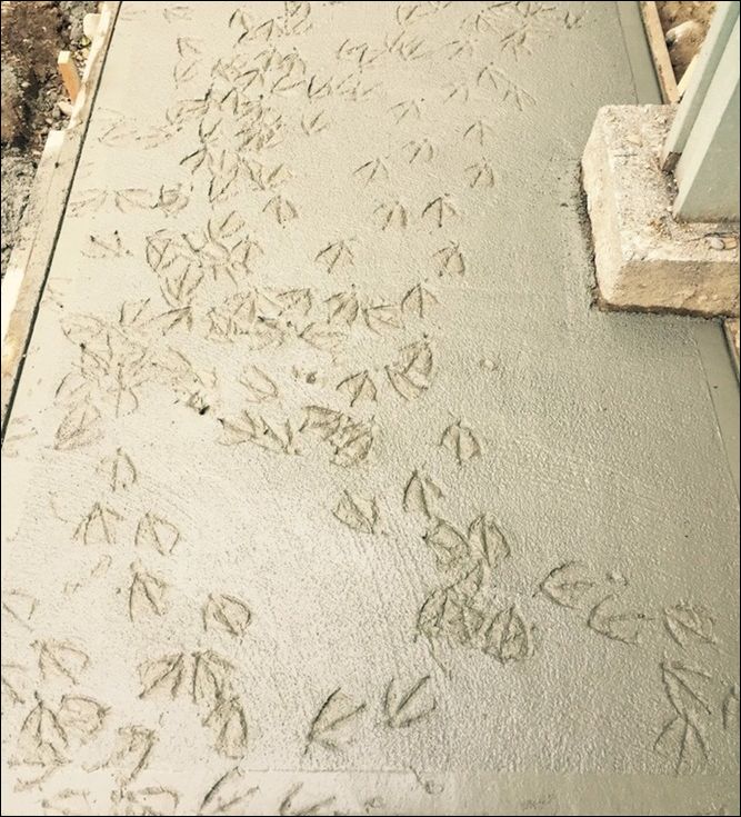 фото приколы